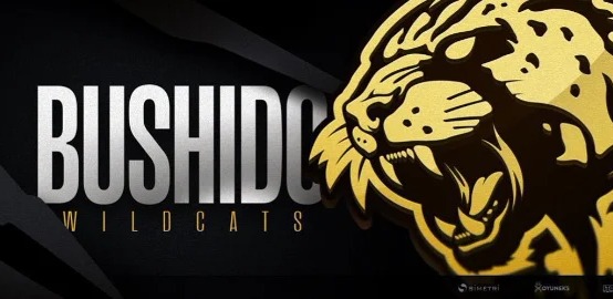 Bushido Wildcats