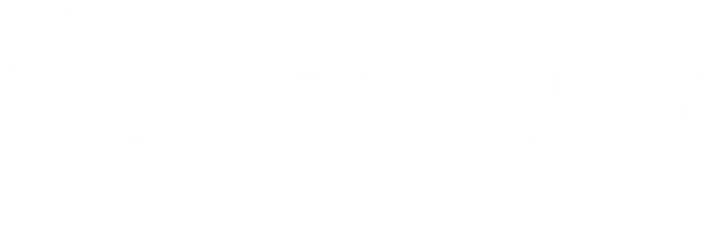 Steam