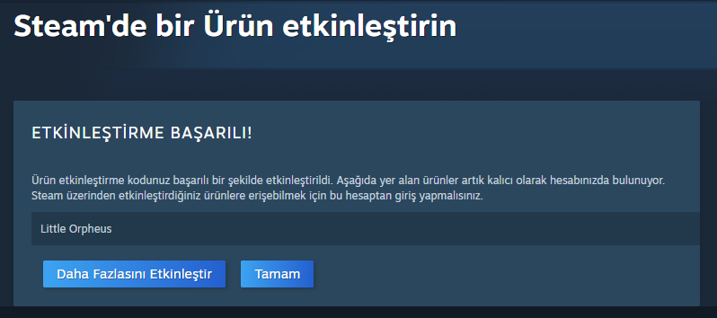 Steam etkinleştirme başarılı ekranı