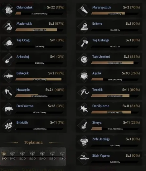 Relicli toplayicilikli craftli 85 MAGE