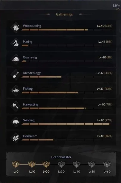 FULL +40 TOPLAMA GM2