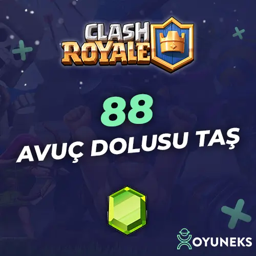 80+8 Taş